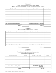 Form 172 Owner Prepared Financial Statement - South Carolina, Page 3
