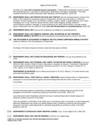 Form 10.01-Q Dating Violence Civil Protection Order (Dtcpo) Ex Parte - Ohio, Page 3