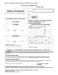 Form 10.01-I Domestic Violence Civil Protection Order (Dvcpo) Full Hearing - Ohio