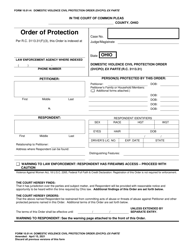 Form 10.01-H Domestic Violence Civil Protection Order (Dvcpo) Ex Parte - Ohio