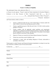Trustee Agreement for Securities Pledged as Collateral to the State Treasurer of Ohio - Ohio, Page 11