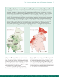 The Forests of the Congo Basin: a Preliminary Assessment, Page 11