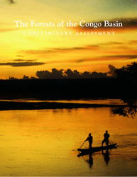 The Forests of the Congo Basin: a Preliminary Assessment