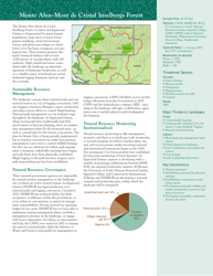 The Forests of the Congo Basin: a Preliminary Assessment, Page 21