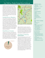 The Forests of the Congo Basin: a Preliminary Assessment, Page 27