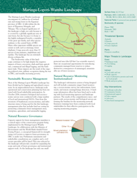 The Forests of the Congo Basin: a Preliminary Assessment, Page 29