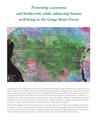 The Forests of the Congo Basin: a Preliminary Assessment, Page 2