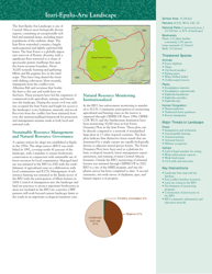 The Forests of the Congo Basin: a Preliminary Assessment, Page 31