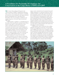 The Forests of the Congo Basin: a Preliminary Assessment, Page 33