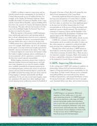 The Forests of the Congo Basin: a Preliminary Assessment, Page 34