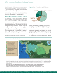 The Forests of the Congo Basin: a Preliminary Assessment, Page 8