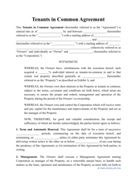 Document preview: Tenants in Common Agreement Template