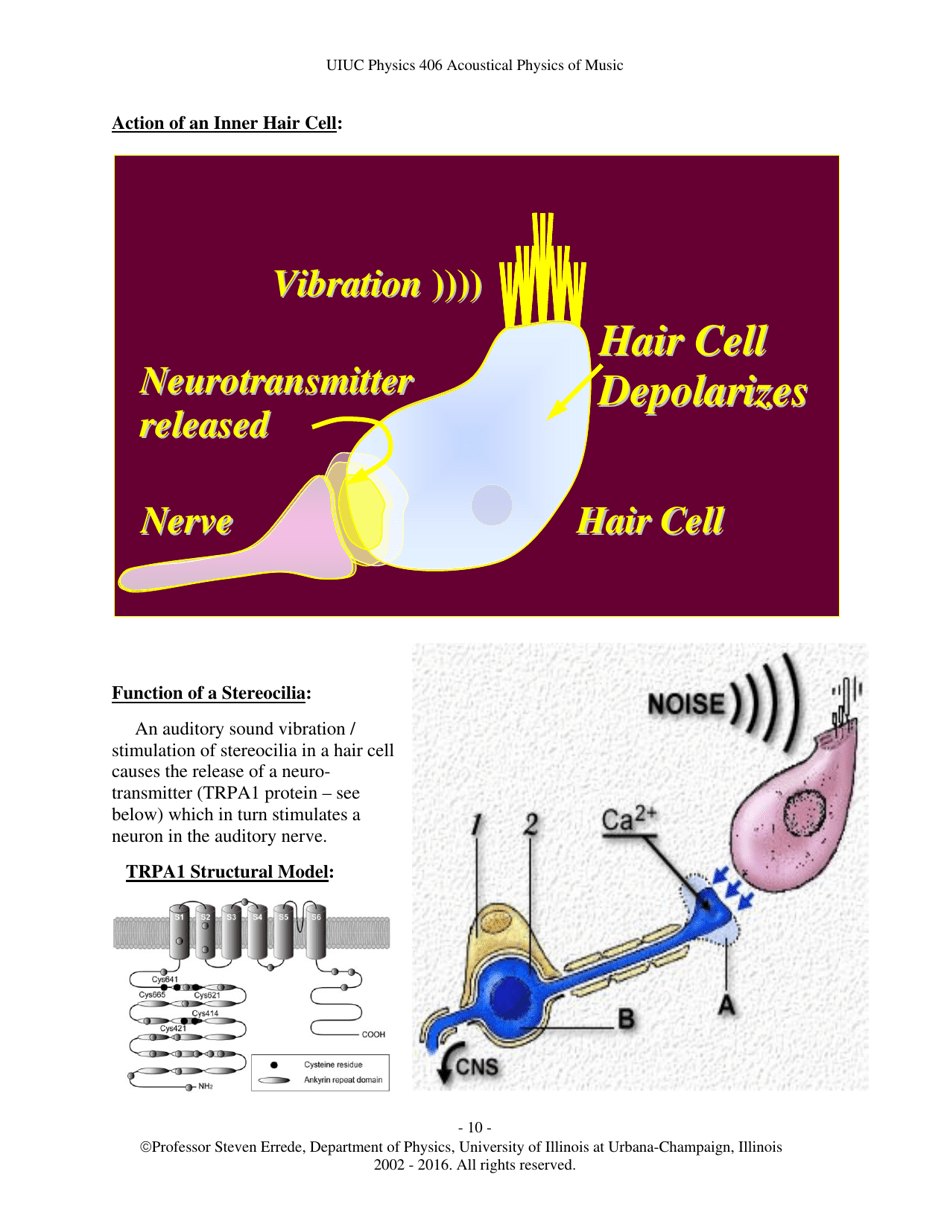 The Human Ear - Hearing, Sound Intensity and Loudness Levels - University of Illinois at Urbana-Champaign, Page 10
