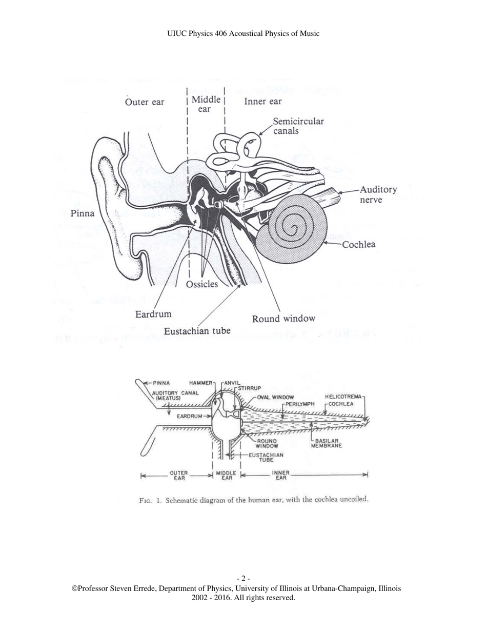 The Human Ear - Hearing, Sound Intensity and Loudness Levels - University of Illinois at Urbana-Champaign, Page 2
