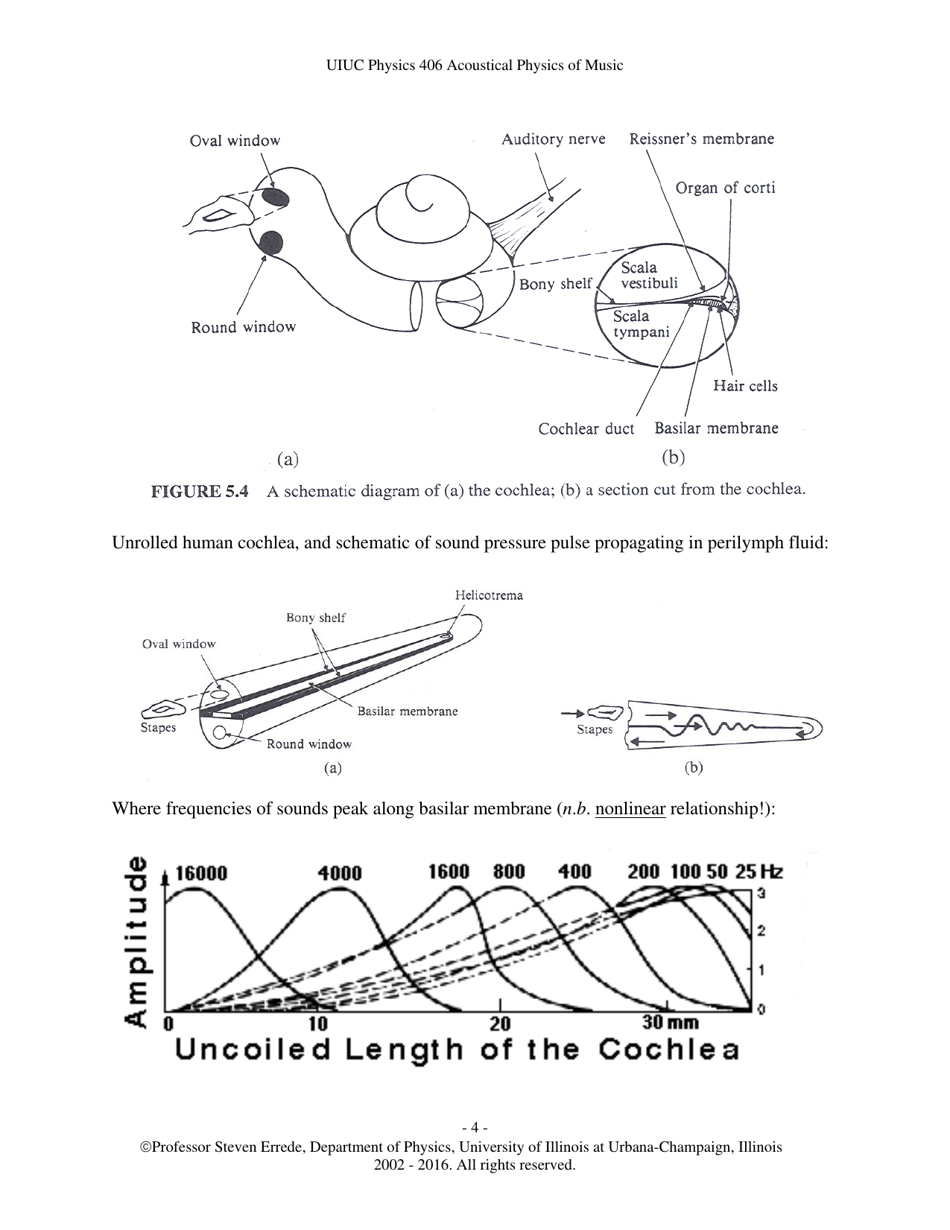 The Human Ear - Hearing, Sound Intensity and Loudness Levels - University of Illinois at Urbana-Champaign, Page 4