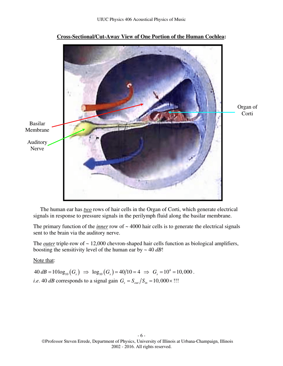 The Human Ear - Hearing, Sound Intensity and Loudness Levels - University of Illinois at Urbana-Champaign, Page 6