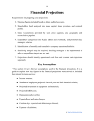 Business Plan Template, Page 13