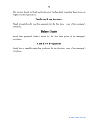 Business Plan Template, Page 14