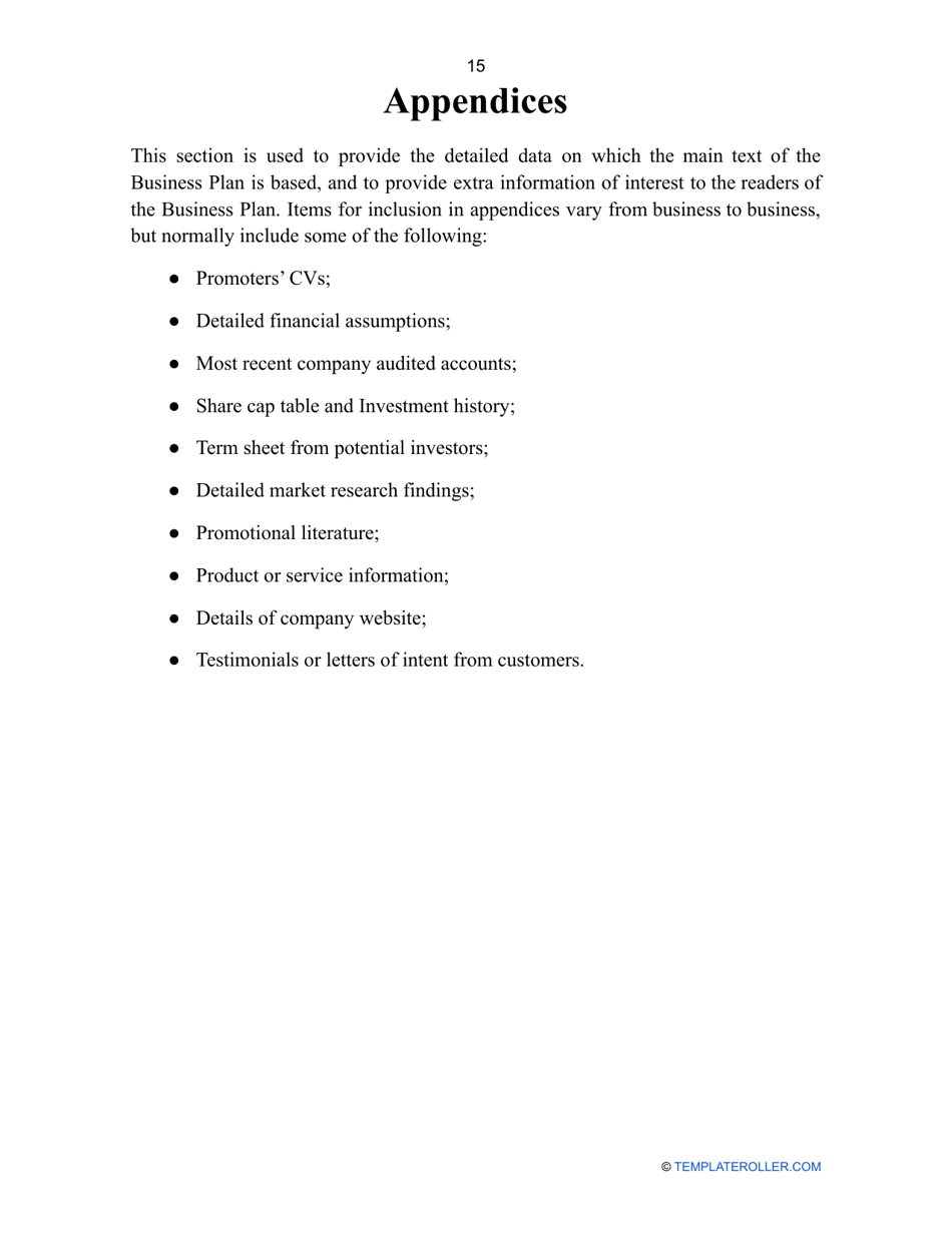 Business Plan Template, Page 17