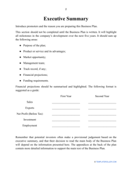 Business Plan Template, Page 4
