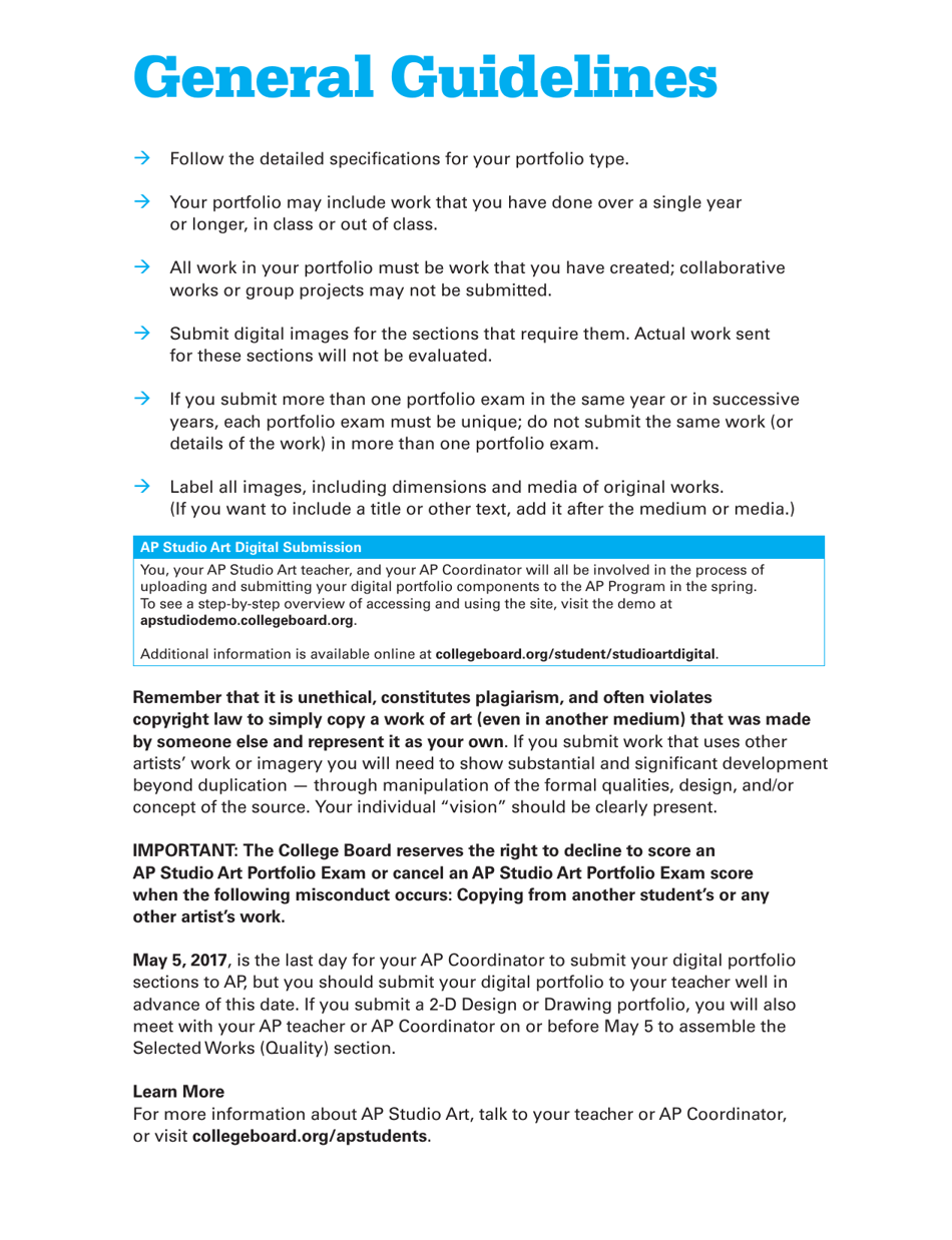 Ap Studio Art Portfolio Requirements 2016-2017, Page 3