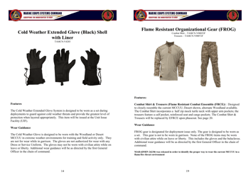 Organizational Clothing and Equipment Wear Guide, Page 14