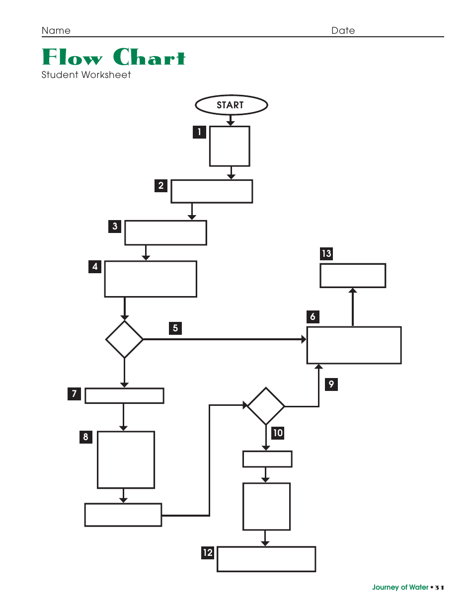 Flow Chart Student Worksheet With Answer Key - image preview
