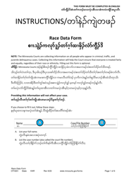 Form OTH201 Race Data Form - Minnesota (English/Karen)
