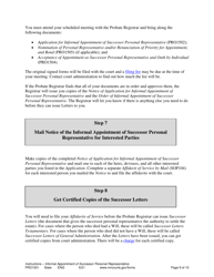 Form PRO1501 Instructions - Informal Appointment of Successor Personal Representative - Minnesota, Page 9