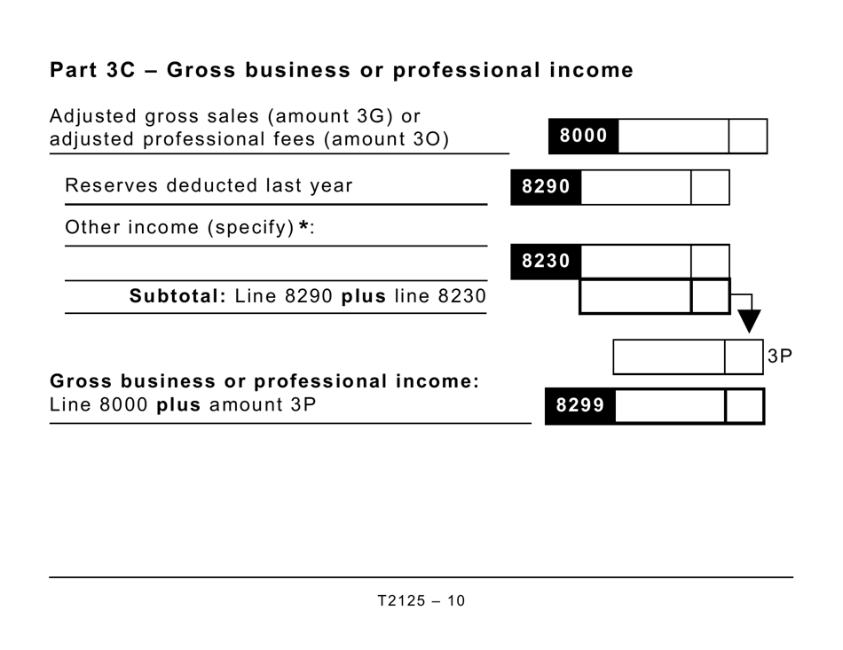 Form T2125 Statement of Business or Professional Activities (Large Print) - Canada, Page 10