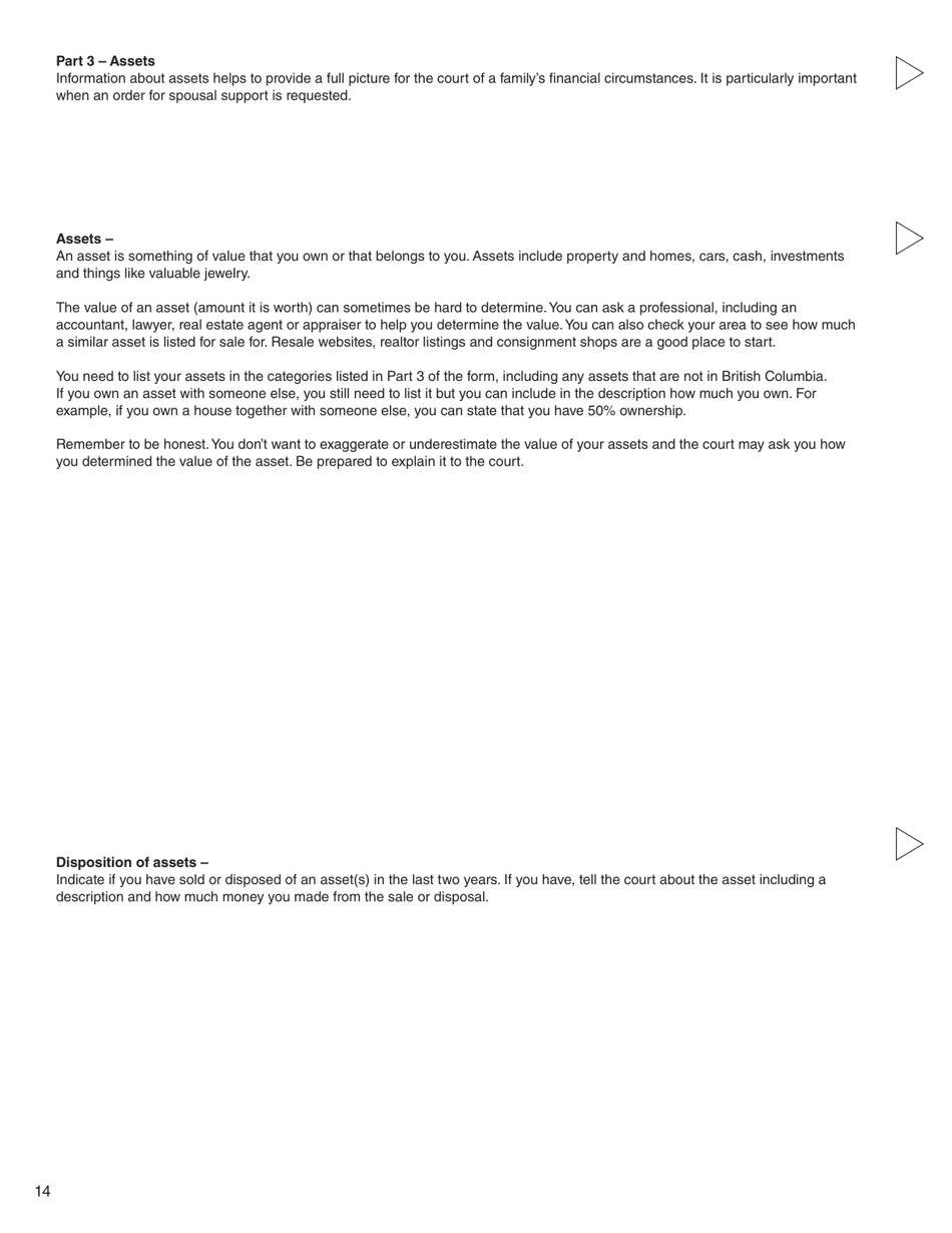 Form 4 (PFA713) Financial Statement - British Columbia, Canada, Page 14