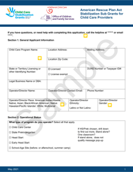Exhibit C Federal Office of Child Care Sample Applications - New York, Page 2