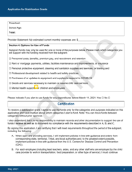 Exhibit C Federal Office of Child Care Sample Applications - New York, Page 4