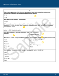 Exhibit C Federal Office of Child Care Sample Applications - New York, Page 7