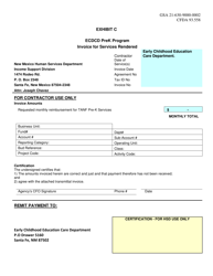 Document preview: Exhibit C Invoice for Services Rendered - Ecdcd Prek Program - New Mexico