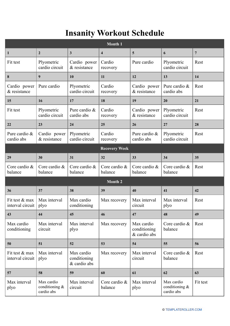 Insanity Workout Schedule - Printable Template