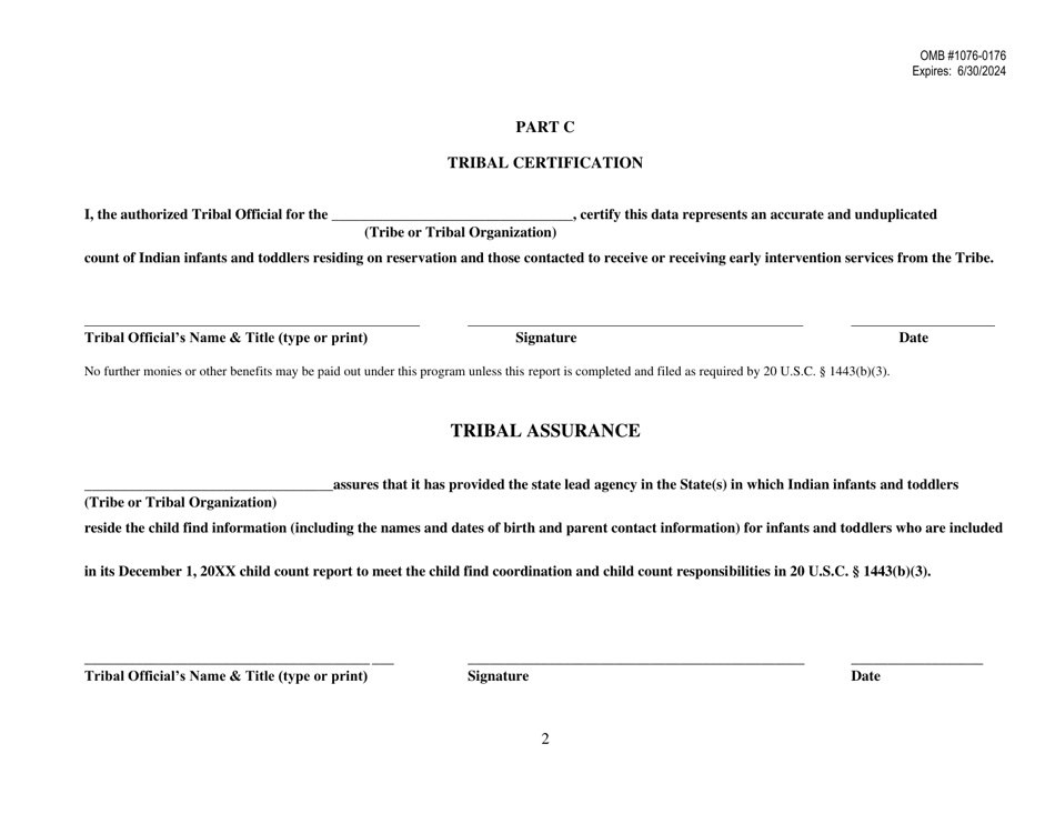 Part C Ideia Tribal Count Data Requirements, Page 5