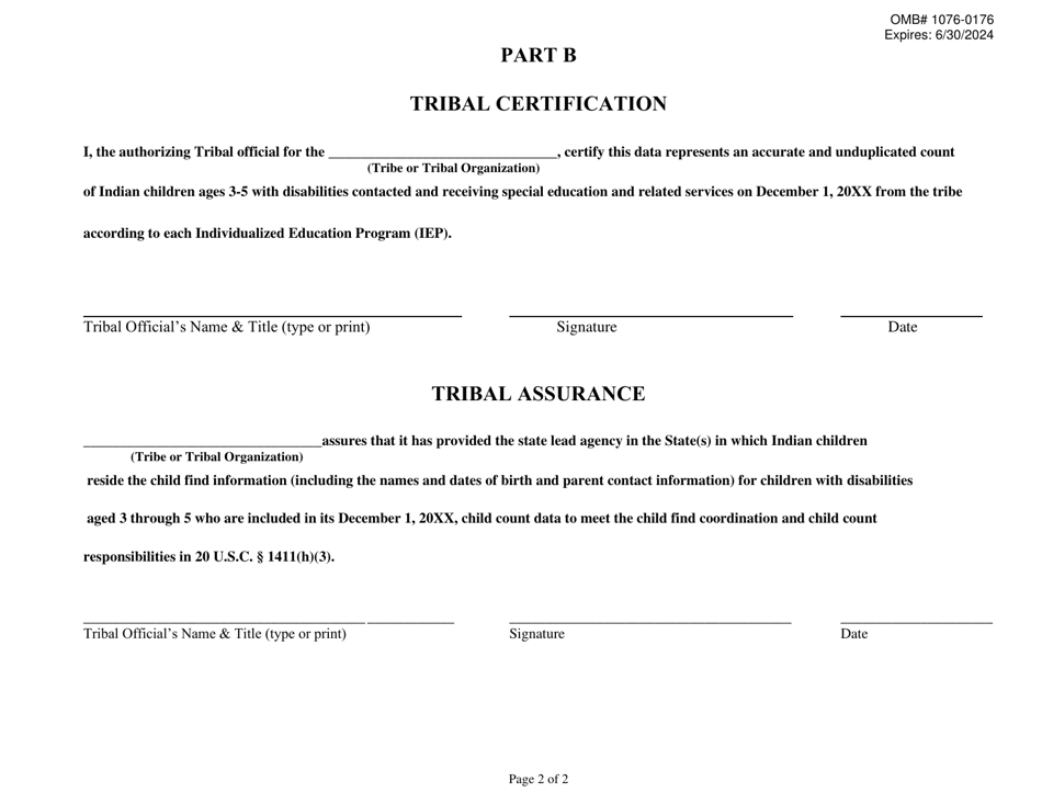 Part B Ideia Tribal Count Data Requirements (Children Aged 3 Through 5 Years), Page 3