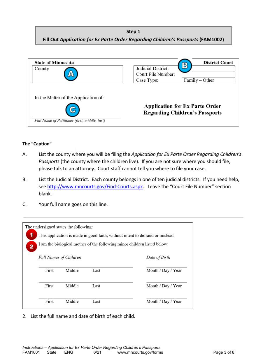 Instructions for Form FAM1002 Application for Ex Parte Order Regarding Childrens Passports - Minnesota, Page 3