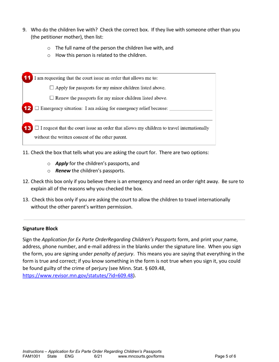Instructions for Form FAM1002 Application for Ex Parte Order Regarding Childrens Passports - Minnesota, Page 5
