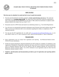 Form T1 Charitable Trust Initial Registration Form - Minnesota, Page 2