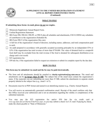 Form CS2 Supplement to the Unified Registration Statement Annual Report Form - Minnesota, Page 2