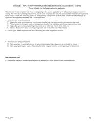 Form 8 (PFA716) Reply to a Counter Application - British Columbia, Canada, Page 12