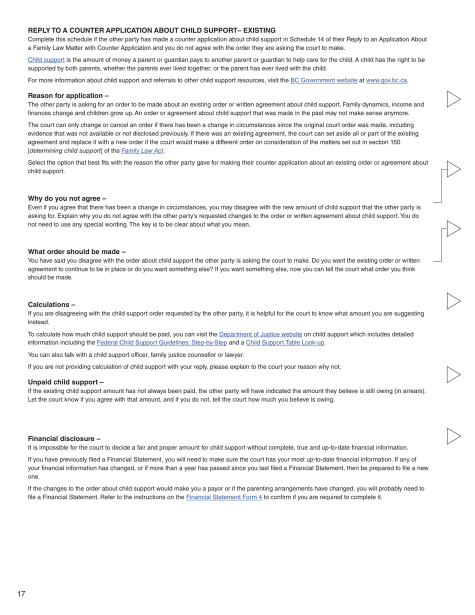 Form 8 (PFA716) Reply to a Counter Application - British Columbia, Canada, Page 17
