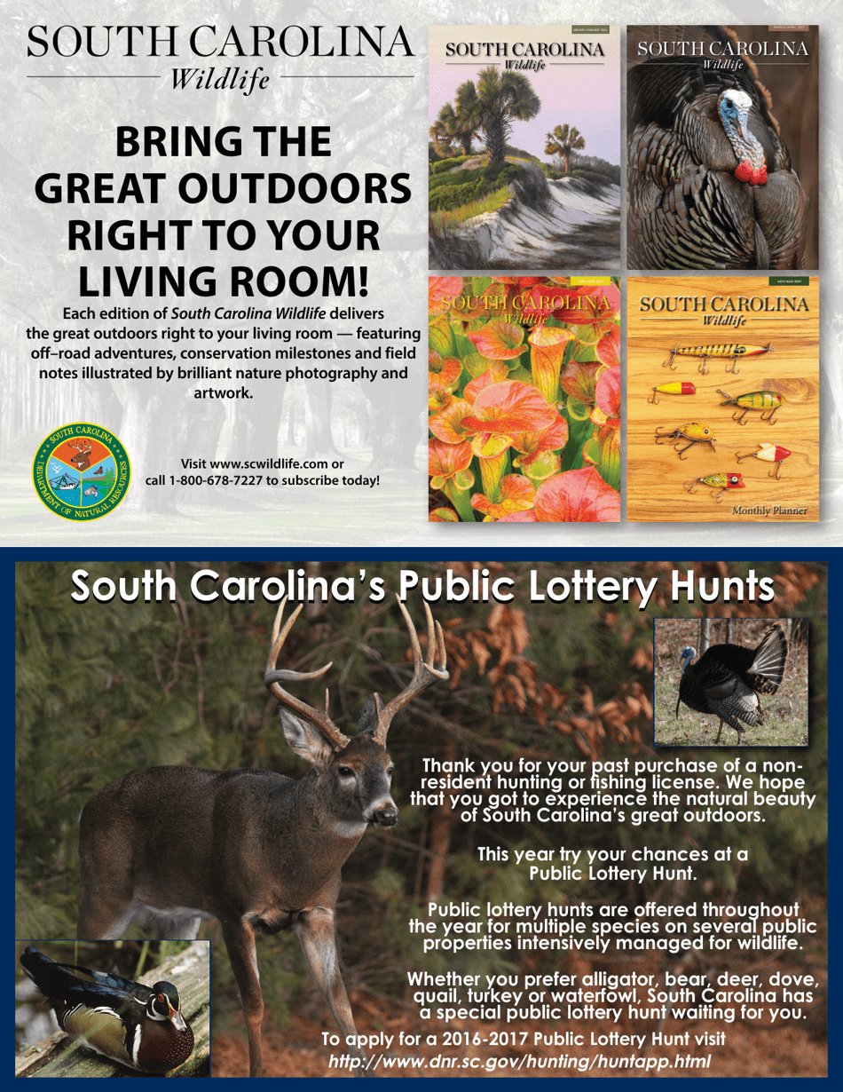 Form 21-12870 Non-resident License Order Form - South Carolina, Page 2