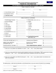 Document preview: DSS Form 1573 Financial Information - South Carolina