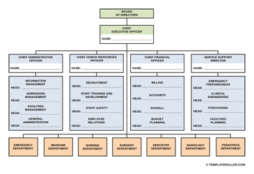 Document preview: Hospital Organizational Chart Template