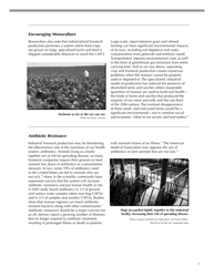 Environmental and Health Problems in Livestock Production: Pollution in the Food System, Page 5