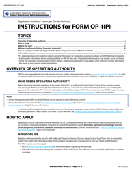 Document preview: Form OP-1(P) Application for Motor Passenger Carrier Authority