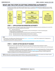 Form OP-1(P) Application for Motor Passenger Carrier Authority, Page 3